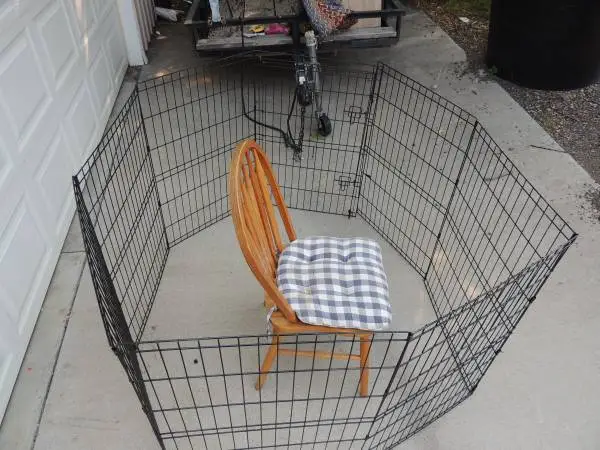 Extra tall and long dog pen