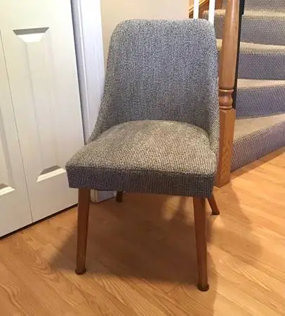 Skyline Furniture upholstered Chair