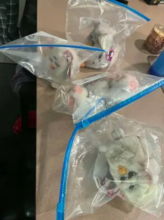 FURBIES !!!! NEW WITH TAGS!!!