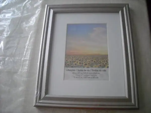 8 x 10 Picture Frame, Light Silver - New