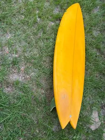 Surfboard fish