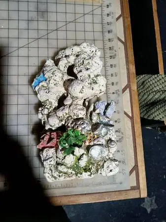 Large fish tank coral structure
