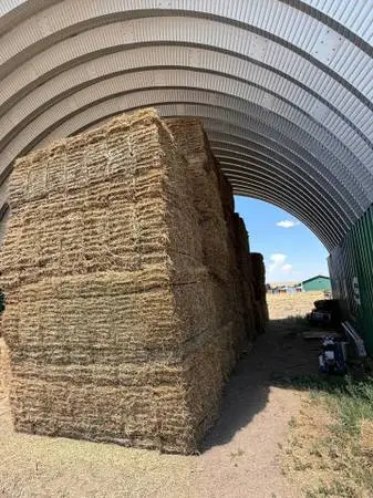 Alfalfa 21 Bale Bundle