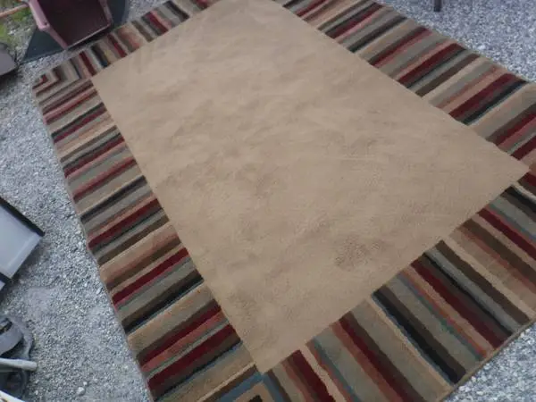 Rug with Striped Border 79L x 52W