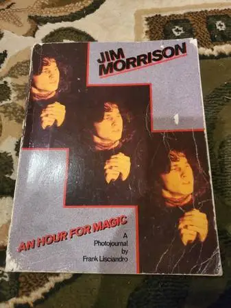 Jim Morrison book
