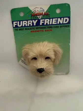 Refrigerator Magnets Furry Friend from Conversation Concepts