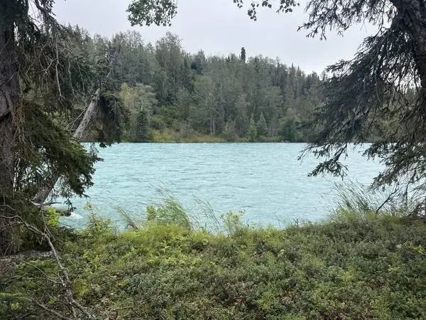 Listing #26-357 5 INCREDIBLE RIVERFRONT ACRES ON THE KASILOF RIVER!