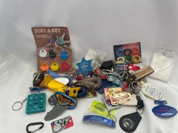 Bag of Miscellaneous Key Rings