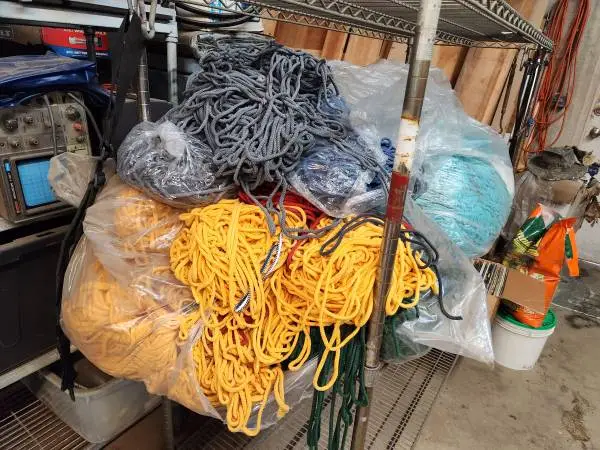 HUGH LOT Round Drawstring Cotton Cord Hoodie PLANT TIES ??