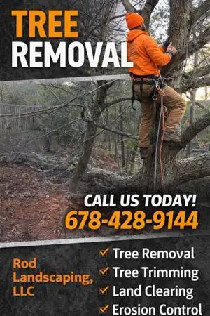 🌲Tree Removal Service / 💪🏽Neglected Property CleanUp