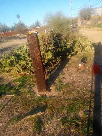 Las flores landscaping💐🌹🌷