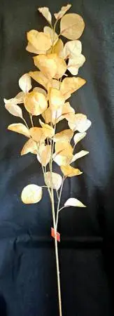 Eucalyptus Leaves Spray