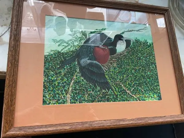Audubon Type Bird Picture - Framed, Matted With Glass