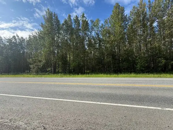 Great land in the woods