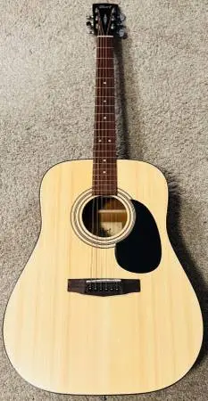 Cort AD810 OP Guitar NEW STRINGS & PRO SETUP! -