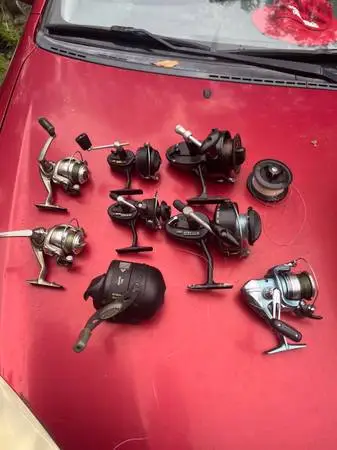 8 reels