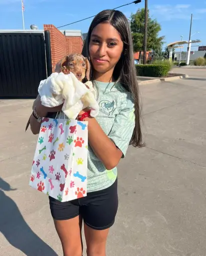 Special Dachshunds to Keep!🥹