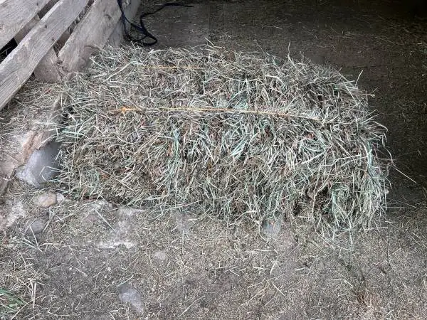 Hay Bales