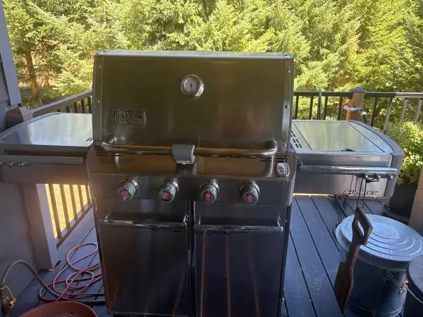 Weber grill: Summit