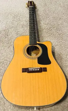 Washburn D100CE Acoustic Electric Guitar NEW STRINGS & PRO SETUP! -