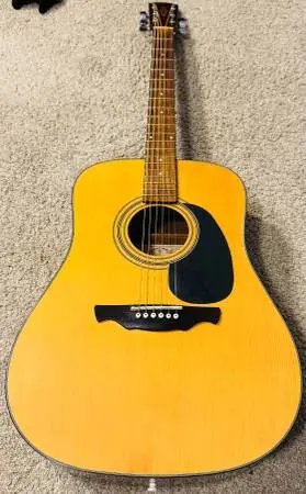 RD8 Natural FinishAcoustic Guitar Dreadnought New Strings & Pro Setup!