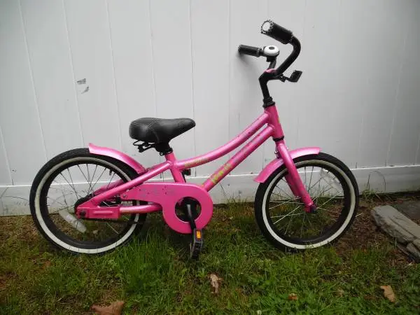16 Jamis Miss Daisy Bike With Pedal Brakes & Fenders