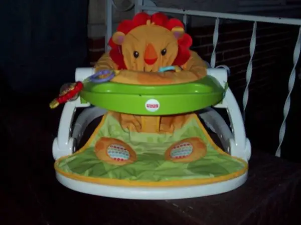 CHILD Baby Seat Bouncer Portable FISHER-PRICE Bear Sunflower Chair