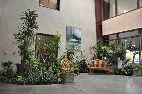Indoor Plant Maintenance Technician