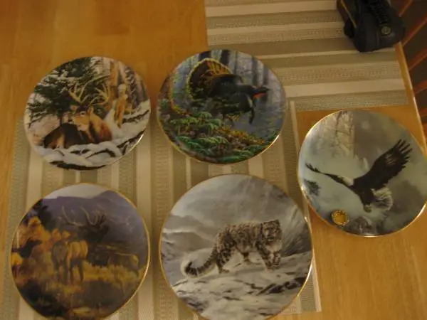 Plates and Shelf