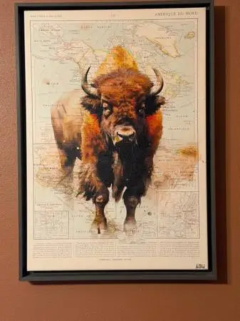 Bison Buffalo canvas print art in floating frame large