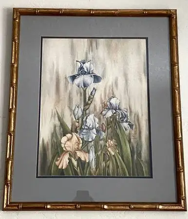 Bearded Irises Lithograph By Carmel Foret