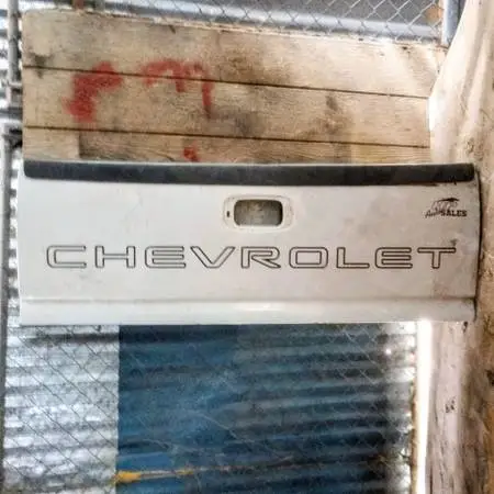 Tail gate shell