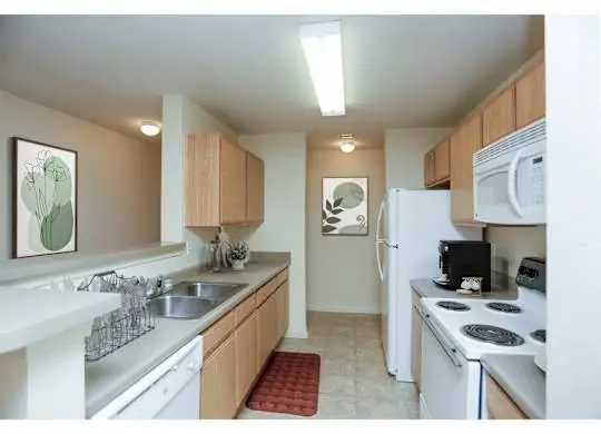 2B/2B, On-Site Maintenance, Carpeting