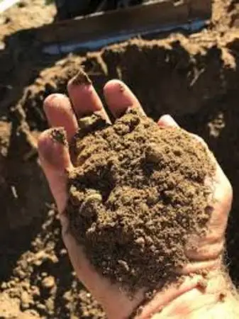 Wanted fill dirt