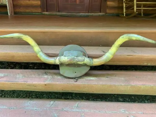 Long Horn Steer Rack 54”