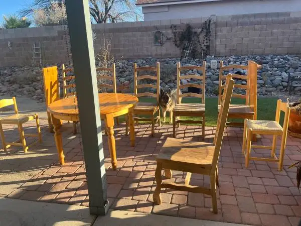dining room chairs