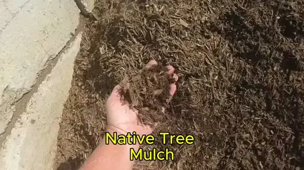 Mulch