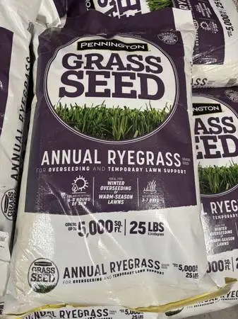 Annual Ryegrass 25 lb. 5,000 sq. ft. Grass Seed