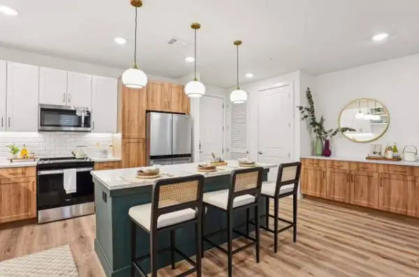 A Brand New Upscale and Stylish Apt in Las Colinas - 6 WEEKS FREE