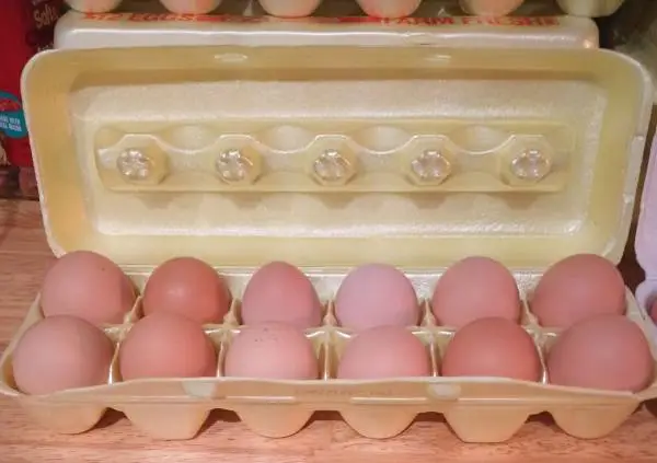Farm Raised Eggs 🐔 🥚FREE