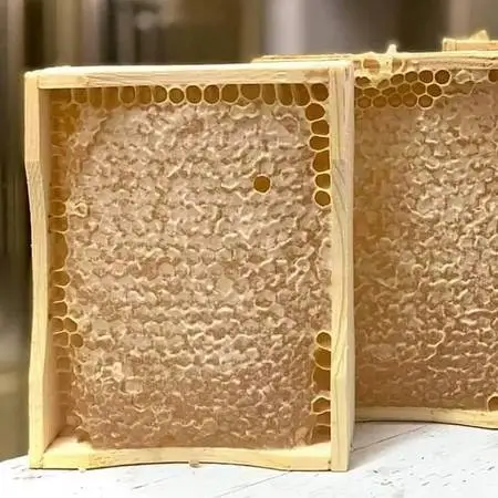Natural Honeycomb Honey Super for Beehive - Ready to Install