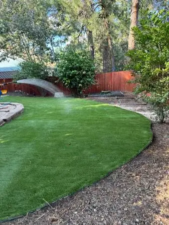 Affordable lawn care & more!!