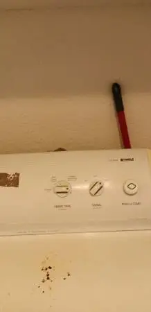 dryer