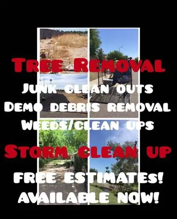 ✅FREE ESTIMATES 480-468-1389 ✅TREE TRIMMING TREE-REMOVAL/JUNK HAULING
