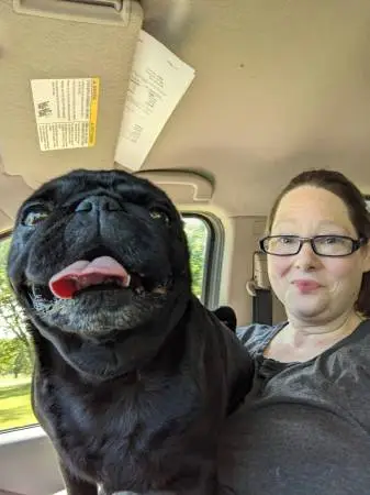 Pet sitting in my home in Milford, Ohio