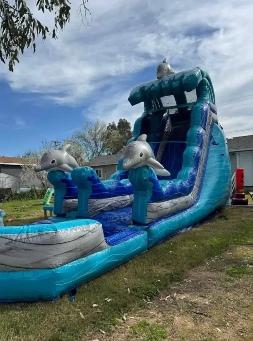A dolphin themed inflatable water slide