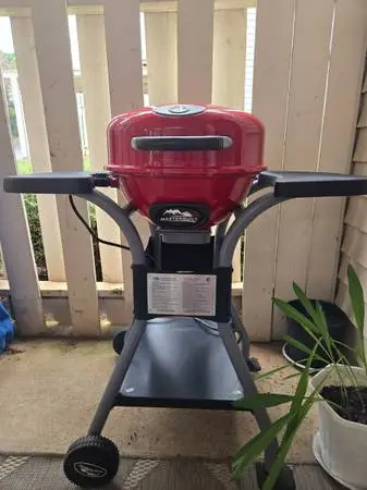 Electric BBQ Grill