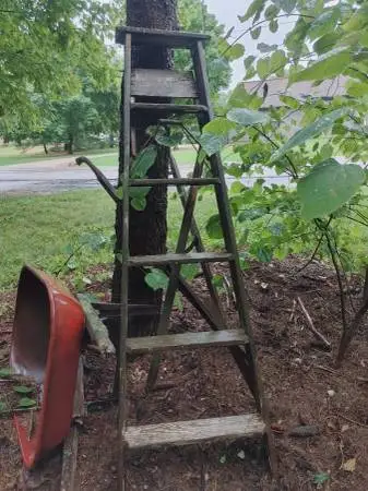 ladders wood
