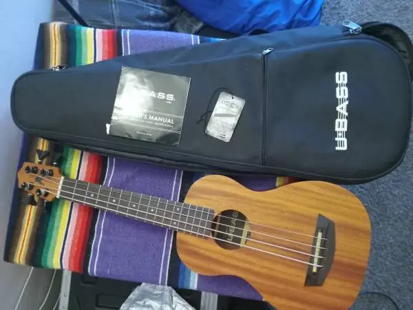 Kala U-BASS Wanderer Acoustic Electric Gig bag