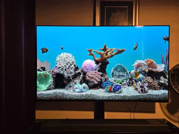 Sony OLED tv 65 inch BRAVIA XR A80K Series 4K ( 3 years old ) Like New